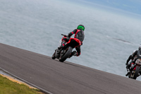 PJ-Motorsport-2019;anglesey-no-limits-trackday;anglesey-photographs;anglesey-trackday-photographs;enduro-digital-images;event-digital-images;eventdigitalimages;no-limits-trackdays;peter-wileman-photography;racing-digital-images;trac-mon;trackday-digital-images;trackday-photos;ty-croes
